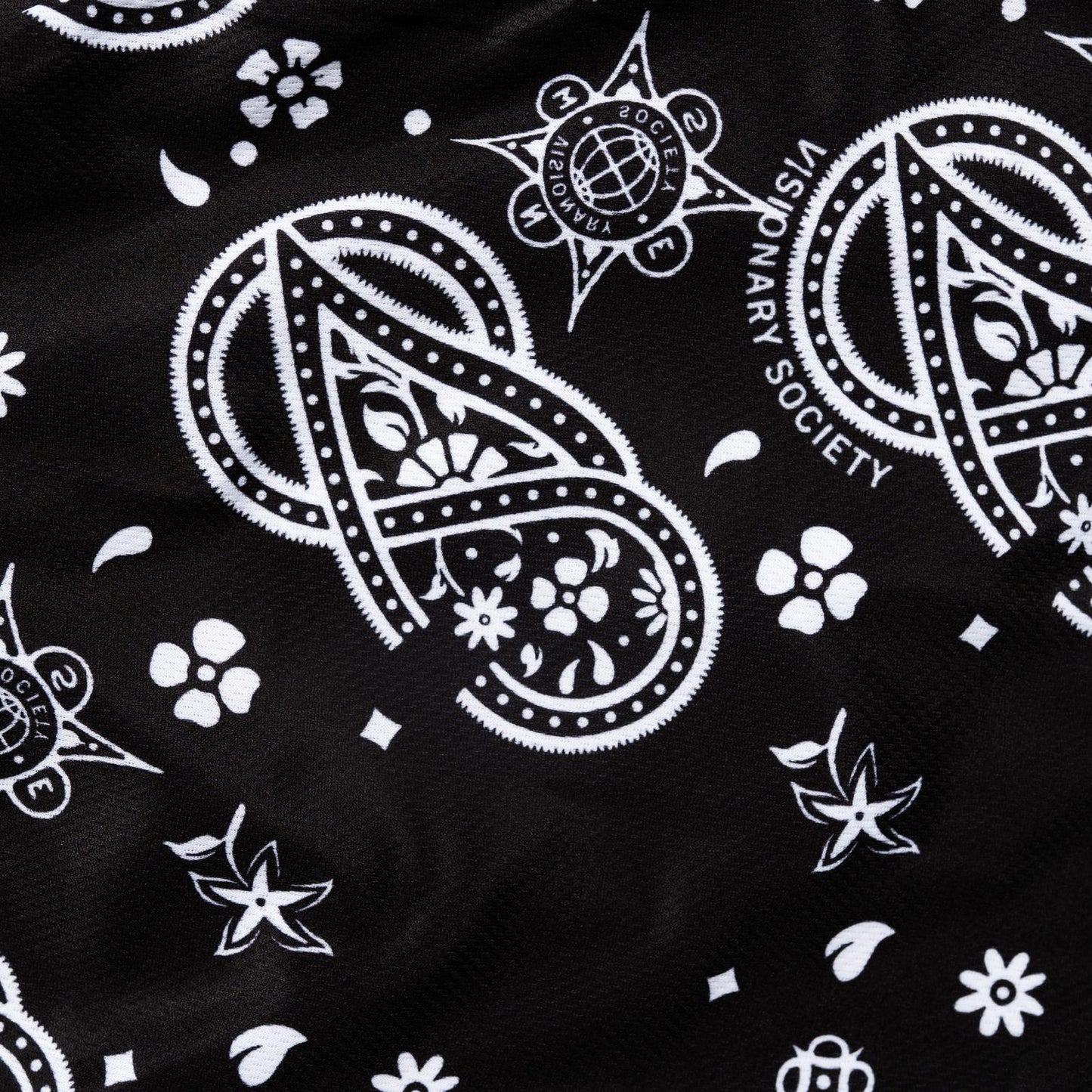 Visionary Paisley Shorts