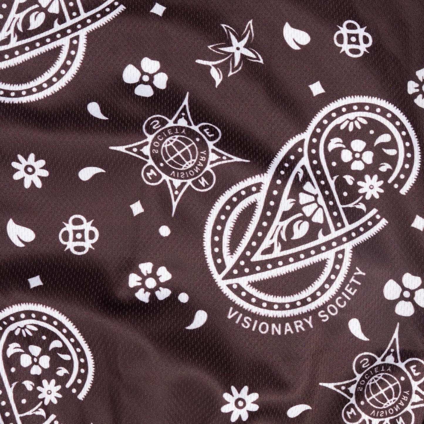 Visionary Paisley Shorts