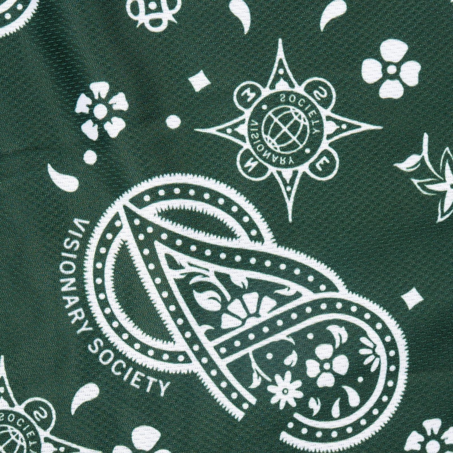 Visionary Paisley Shorts