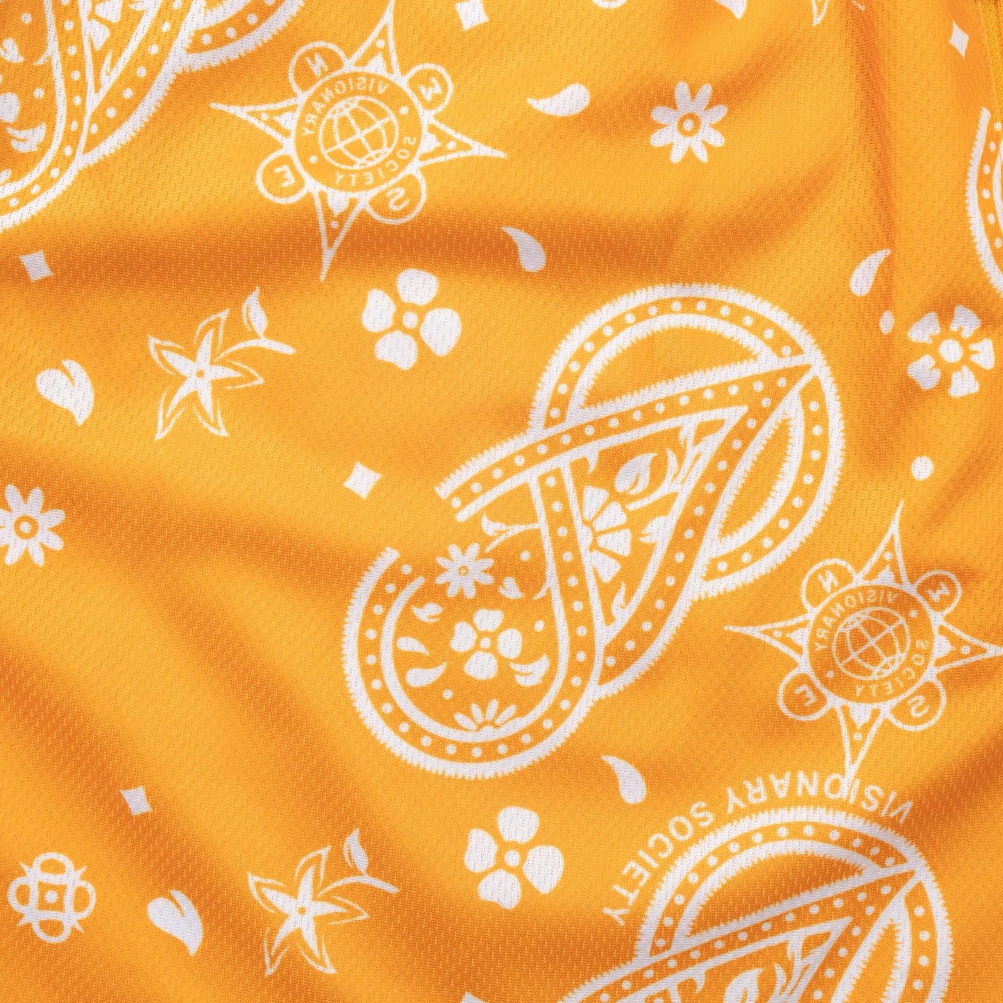 Visionary Paisley Shorts