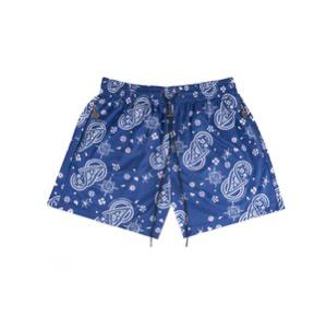 Visionary Paisley Shorts