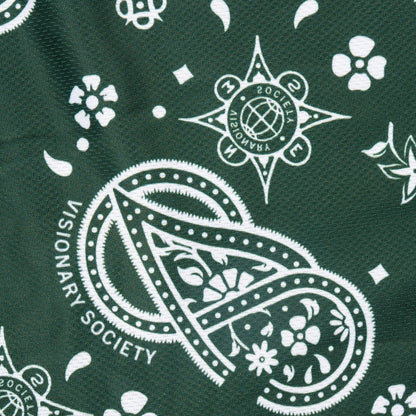 Visionary Paisley Shorts