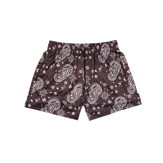 Visionary Paisley Shorts