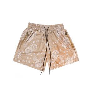 Visionary Paisley Shorts